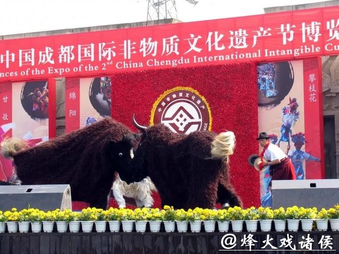 非遗四川 |平武虎牙藏族斗牦牛 非遗四川 |平武虎牙藏族斗牦牛
